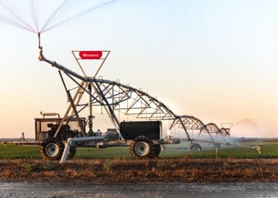 Matinée technique WESTERN – Agence Saint Sulpice